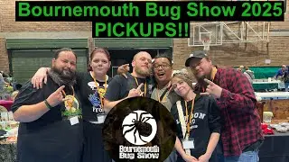 Bournemouth Bug Show 2025 PICKUPS!!