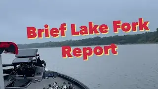 Brief Lake Fork Report 