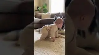 Baby Says Mama Then Husky Tries Too Hilarious Moment Caught #cute #pets #funny