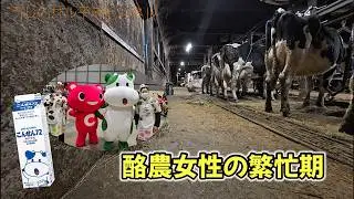 ＃50  酪農女性の繁忙期          パルシステム/こんせん72牛乳/横浜/札幌/農業ガールズコレクションin北海道/外国人実習生/繁忙期