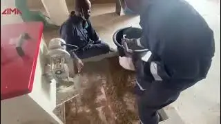 Poultry Feed Pellet Production Line Testing From Nigerian Customers