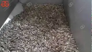 Sunflower Seeds Roasting Production Line|Melon Seed Roaster Machine