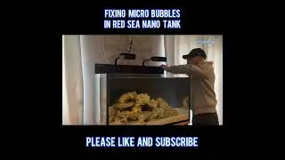 Fixing Micro Bubbles From Skimmer! #coralreef #fishtank #reeftank #aquarium  #redsea #saltwatertank