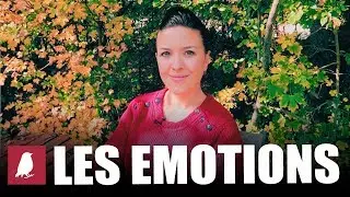 INTELLIGENCE ÉMOTIONNELLE: la gestion des émotions chez l'enfant