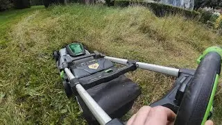 Meadow Grass cut 10th Aug 2025