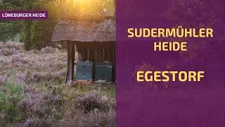 Lieblings-Heidefl&auml;che? 💜 | Suderm&uuml;hler Heide | L&uuml;neburger Heide