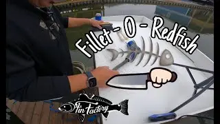Episode 38 - Fillet - O - Redfish - How to