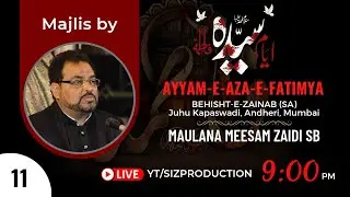 #11 #20majalis AYYAM-E-AZA-E-FATEMIYA (SA) | MAULANA MEESAM ZAIDI SB | BAHISHT-E-ZAINAB (SA) ADH