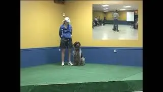 CAT Demo - Reading the Alert- Constructional Aggression Treatment