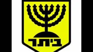 תמיר גל-תמיד איתי ביתר