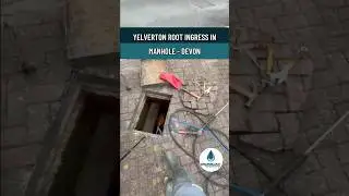 Root Ingress Yelverton, Devon - blocked drains & manhole repair #shorts  #drainunblocking #manhole