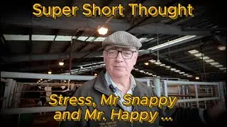 Super Short Thought - Stress, Mr Snappy and Mr. Happy. (James 5:9)