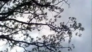 #12 La ESPOL es bella, as&iacute; somos, esto a salida de la ESPOL a las 11H del 2012.11.15.