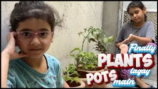 Plants | Planting in Pots | Daily Vlog | karachiwalay