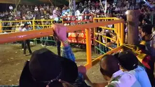 Rancho La Poza, Toro 