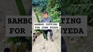 Bamboo cutting short vlog