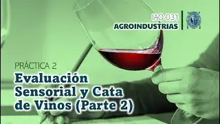 Evaluación Sensorial de Vinos 2da Parte | Práctica N° 2 | Agroindustrias | UNMSM