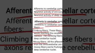 Afferents to Cerebellar cortex