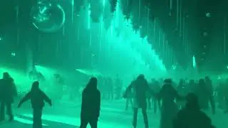 DARK MATTER &ndash; FOREST WINTERLIGHTS 2025 ⛸️❄️