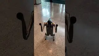 Say Hi to Robot dog 🐶 #robot #artificialintelligence
