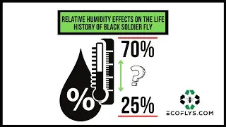 Relative Humidity Effects on the Life History of Black soldier Fly Larvae