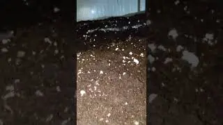 pin formation wheat straw Mushroom compost
