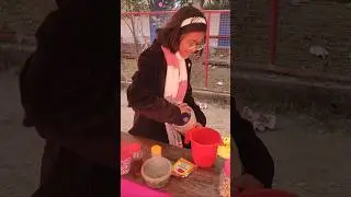 ময়নাগুড়ি সুভাষ নগর হাই স্কুল।Maynaguri Subhasnagar High School |খাদ্যমেলা। Food Fair। ফুড ফেয়ার।