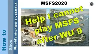 Flight Simulator 2020 - How to - fix ctd's after - world update IX