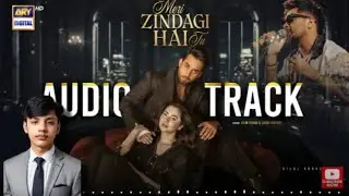 MERI ZINDAGI HAI TU - OST | BILAL ABBAS | HANIA AAMIR | ASIM AZHAR | HKMIR01| COVER SONG ARY DIGITAL