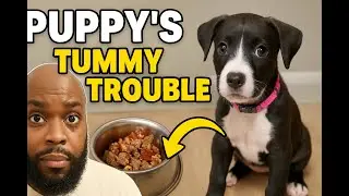 Raw Feeding for Puppies: Avoid This Mistake!
