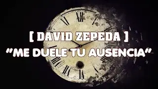 David zepeda - Me duele tu ausencia   ==Letra==