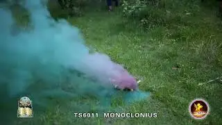 Monoclonius