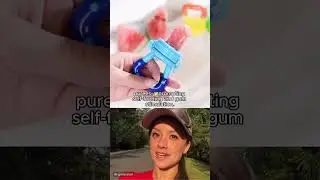 3x Silicone Baby Fruit Feeder