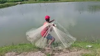 Cast Net Fishing | Net Fishing In Pond | Best Net Fishing Video 