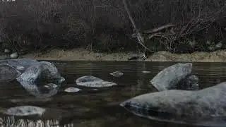 10 Hour River Sounds for Sleep - Gentle Water Flow & Nature Ambience | Stress Relief & Meditation