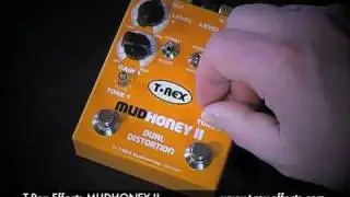 T-Rex Effects: MUDHONEY II (Stratocaster to Laney VC50 clean channel)