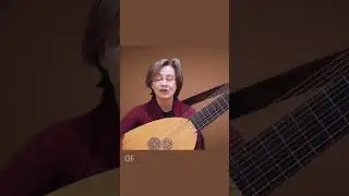 Почему лютня должна была эволюционировать