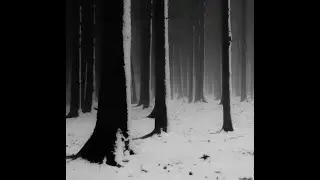 redda + lovemusic + ambient type beat - ItsYou