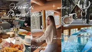 Лучшее место для отдыха || Экоотель «Романов лес»