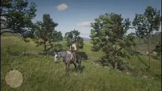 Football horse
