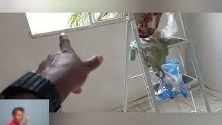 Esto muito feliz +tem muitas coisas pra  mostrar  para vocês 