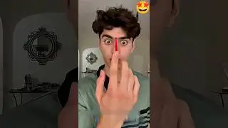 Zootopia 2 zoo music video 😍 Craze Finger Magic 😱 #zootopia2 #shortvideo #dance #music #trending