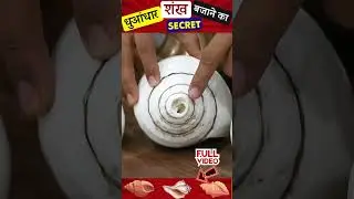 How to Blow Conch?