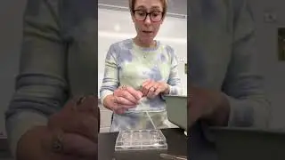 Mystery Powder Lab Instructions