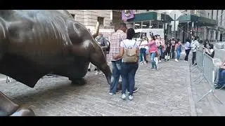 TORO DE WALL STREET ( New York)