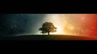 Man&rsquo;s Freewill & God&rsquo;s Election Harmonized
