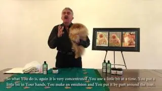 Deep treatment for coat with Starfire&rsquo;s Canine Care Line