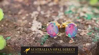 Gold Earrings, Green Earrings, Opal Stud Earrings - Australian Opal Direct | Worldwide Shipping