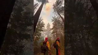 California wildfires #california #californiawildfire #wildfire #america