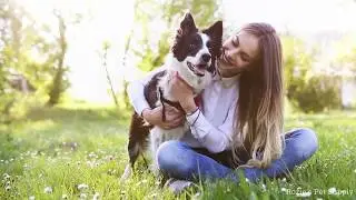Rozie's Pet Supply: 100% All Natural Dog Treats | Long Lasting Dog Chews